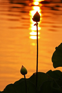 瑞士主场战胜爱尔兰，保持小组第一位置