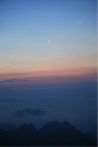 瑞典连胜德国出线，闯入欧国联四强