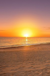 欧洲国家杯竞争激烈：波兰队斩获多场胜利