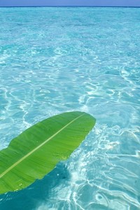 骑士横扫篮网，东部决赛大胜取胜