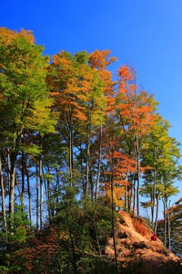 中国篮球比赛的风采令人震撼