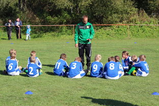 华体会官网注册-国家队战术决策效率如何提升，国家队战术决策效率如何提升的